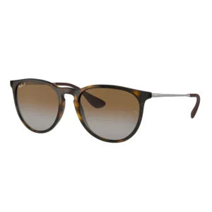 Ray-Ban Erika RB4171 sunglasses