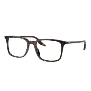 Ray-Ban 0RX5421  Acetate Eyeglasses