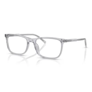 Dolce & Gabbana DG3427 Men’s Glasses