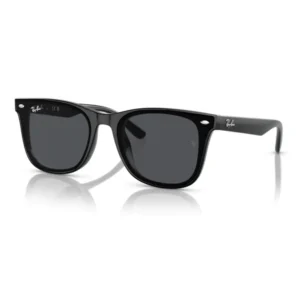 Ray-Ban 0RB4420 Sunglasses