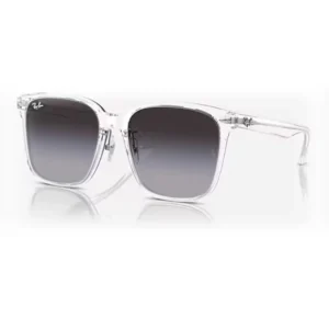 Ray-Ban RB2206D Sunglasses