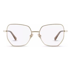 Aspinal L590  Frame