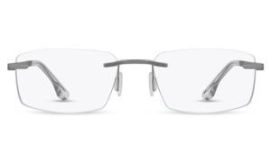 Range Rover Glasses RR3013R - C1 Matt Silver