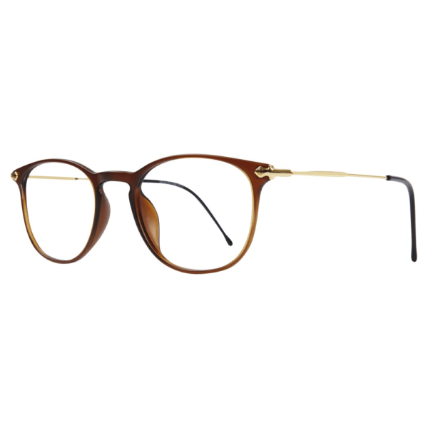 Retro Collection 377 Glasses in Brown