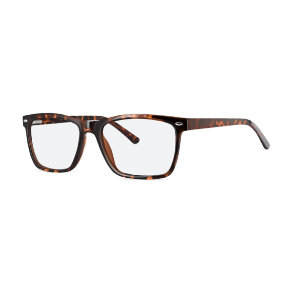 Factory Glasses Direct - ZP4051 brown